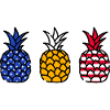 Pineapple America