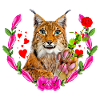 Chat lynx avec rose pour l’amour