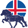 tölt Islandpferd