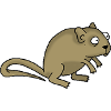 Maus