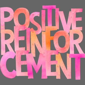 Positive Reinforcement pink / gelb