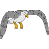 Gull