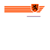 Holland Netherlands Elftal Patriotism Football