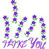 I like You, Love