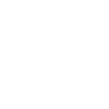 Lost In Paradise Jeeps