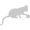 Wool Ball Kitten Plays Outline