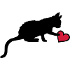Cute kitten touches heart