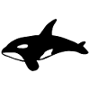 Whale