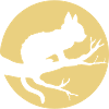 Tree Moon Black Cat