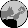 Flower vase falls down cat