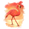 Flamingo im Sonnenuntergang