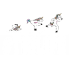 Triathlon motif for triathletes