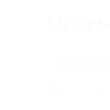 Elefantastisch