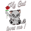 Mon chat m’aime!