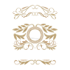 Legendary gymnast, gymnastics