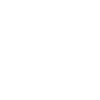 Velociraptor Dinosaurs