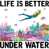 Plongée Aventure Plongeurs Mer Océan