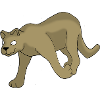 Faune