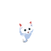 Cute Cat Dandelions