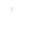 I Smack My Balls Shirt Baseball Regalo