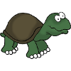 Turtle 1