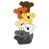 Bear Brotherhood Flag Pride LGBTQ Koala Bunch