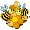 Insects