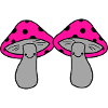 Fungi