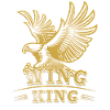 Wing King Motorcykel Goldwing Design