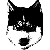 Cute Dog Motif Husky