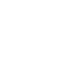 The boss