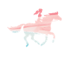 Équitation Fille Équestre Dressage