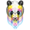 Pandabär CMYK