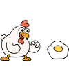 Poule poussin omelette
