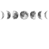 Moon. Moon