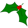 Mistelzweig