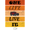 ONE LIFE LIVE IT
