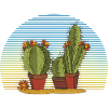 Cacti