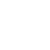 Yorkie-Ton Mom