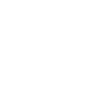 Schapendoes Papa