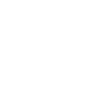 Papa chien d’eau espagnol