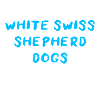 White Swiss Shepherd Dog