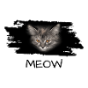 Katze Cat meow