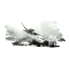 save the turtles