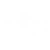 Turtle turtle
