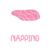 Official Sleeping Animal Napping