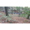Nature 3