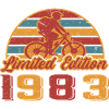 Vélos Vélo Anniversaire VTT 1983