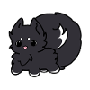 Cute Dog Black White