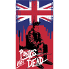 british punk rock